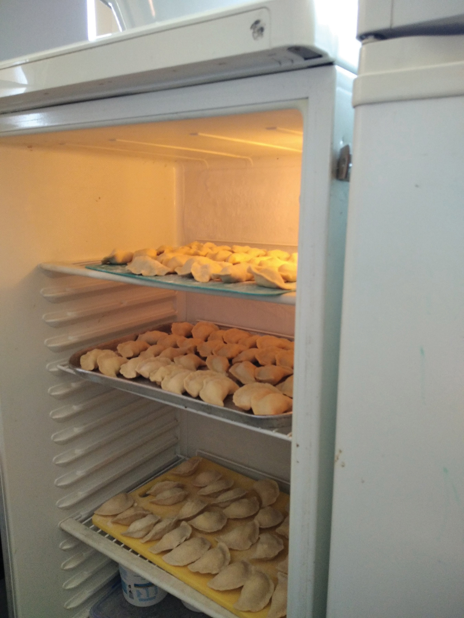 Ukrainian varenyky in fridge
